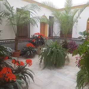 Appartement Casa Tipica Cordobesa, Cordoue